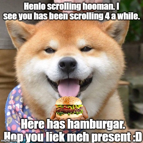 Hooman take rest | Henlo scrolling hooman. I see you has been scrolling 4 a while. Here has hamburgar. Hop you liek meh present :D | image tagged in doge,cute,cute dog,human,memes | made w/ Imgflip meme maker