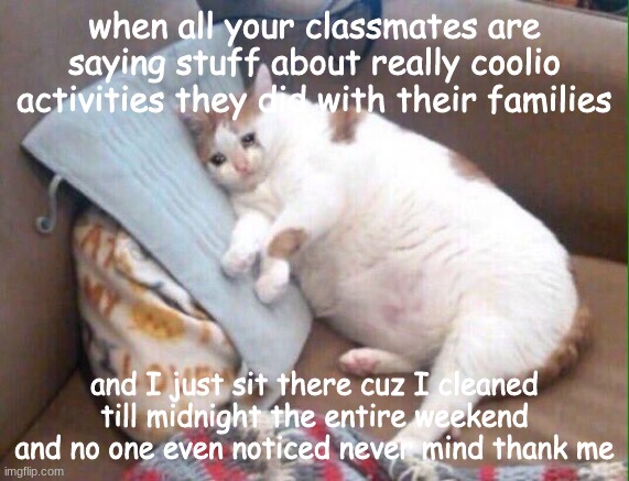 I cleaned the entire house mostly by myself (I made my sisters help) and I'm legit exhausted | when all your classmates are saying stuff about really coolio activities they did with their families; and I just sit there cuz I cleaned till midnight the entire weekend and no one even noticed never mind thank me | image tagged in crying cat | made w/ Imgflip meme maker