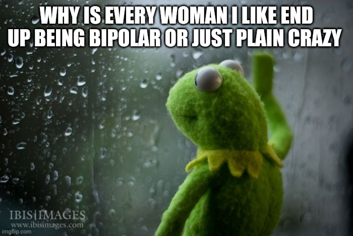 kermit window | WHY IS EVERY WOMAN I LIKE END UP BEING BIPOLAR OR JUST PLAIN CRAZY | image tagged in kermit window | made w/ Imgflip meme maker