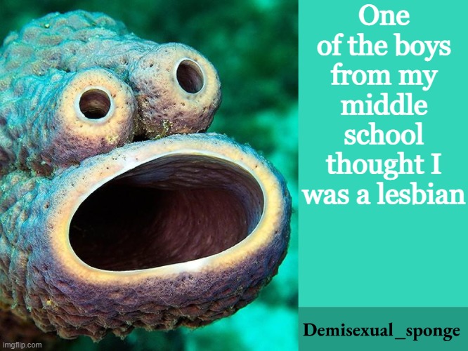 I don't blame him lol | One of the boys from my middle school thought I was a lesbian | image tagged in demisexual_sponge announcement,demisexual_sponge | made w/ Imgflip meme maker