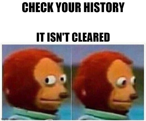 Monkey Puppet | CHECK YOUR HISTORY; IT ISN'T CLEARED | image tagged in memes,monkey puppet | made w/ Imgflip meme maker