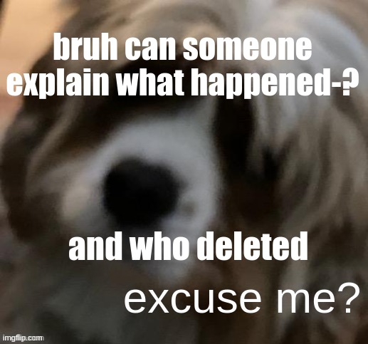 reeeeeeee | bruh can someone explain what happened-? and who deleted | image tagged in excuse me narwhals doge | made w/ Imgflip meme maker