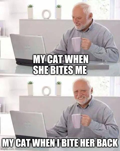 The cat started it | MY CAT WHEN SHE BITES ME; MY CAT WHEN I BITE HER BACK | image tagged in memes,hide the pain harold | made w/ Imgflip meme maker