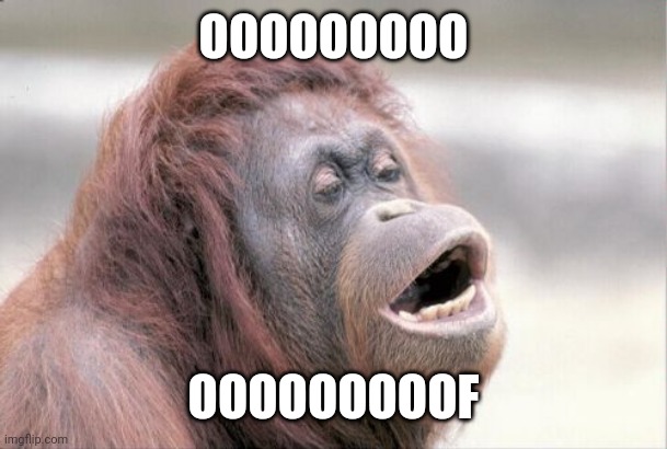 Monkey OOH Meme | OOOOOOOOO OOOOOOOOOF | image tagged in memes,monkey ooh | made w/ Imgflip meme maker