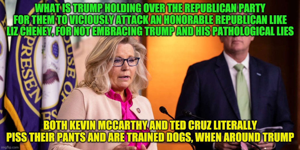 Liz Cheney Kevin McCarthy | WHAT IS TRUMP HOLDING OVER THE REPUBLICAN PARTY FOR THEM TO VICIOUSLY ATTACK AN HONORABLE REPUBLICAN LIKE LIZ CHENEY, FOR NOT EMBRACING TRUMP AND HIS PATHOLOGICAL LIES; BOTH KEVIN MCCARTHY AND TED CRUZ LITERALLY PISS THEIR PANTS AND ARE TRAINED DOGS, WHEN AROUND TRUMP | image tagged in liz cheney kevin mccarthy | made w/ Imgflip meme maker