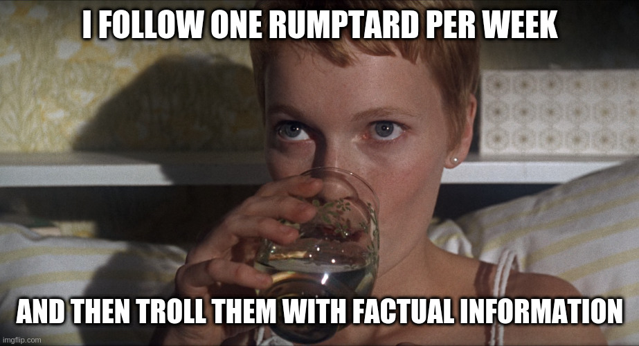 Rosemary | I FOLLOW ONE RUMPTARD PER WEEK; AND THEN TROLL THEM WITH FACTUAL INFORMATION | image tagged in rosemary | made w/ Imgflip meme maker