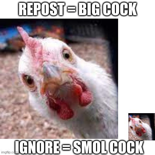 REPOST = BIG COCK; IGNORE = SMOL COCK | made w/ Imgflip meme maker