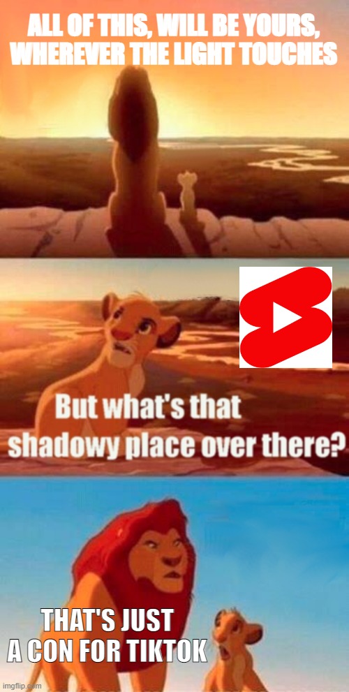 WHY YOUTUBE, YOU WHERE SUPPOSED TO DESTROY THEM, NOT JOIN THEM! |  ALL OF THIS, WILL BE YOURS, WHEREVER THE LIGHT TOUCHES; THAT'S JUST A CON FOR TIKTOK | image tagged in memes,simba shadowy place | made w/ Imgflip meme maker