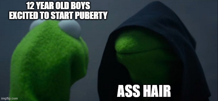 Evil Kermit Meme |  12 YEAR OLD BOYS EXCITED TO START PUBERTY; ASS HAIR | image tagged in memes,evil kermit | made w/ Imgflip meme maker