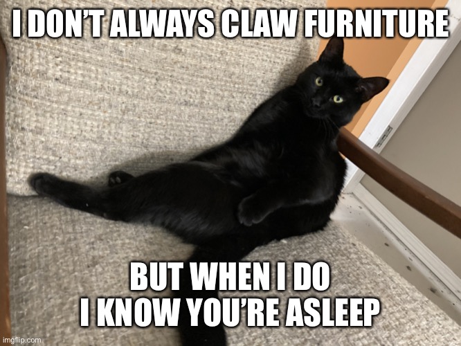 The Most Interesting Cat in the World | I DON’T ALWAYS CLAW FURNITURE; BUT WHEN I DO I KNOW YOU’RE ASLEEP | image tagged in the most interesting cat in the world | made w/ Imgflip meme maker