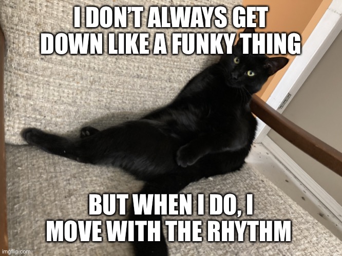 The Most Interesting Cat in the World | I DON’T ALWAYS GET DOWN LIKE A FUNKY THING; BUT WHEN I DO, I MOVE WITH THE RHYTHM | image tagged in the most interesting cat in the world | made w/ Imgflip meme maker