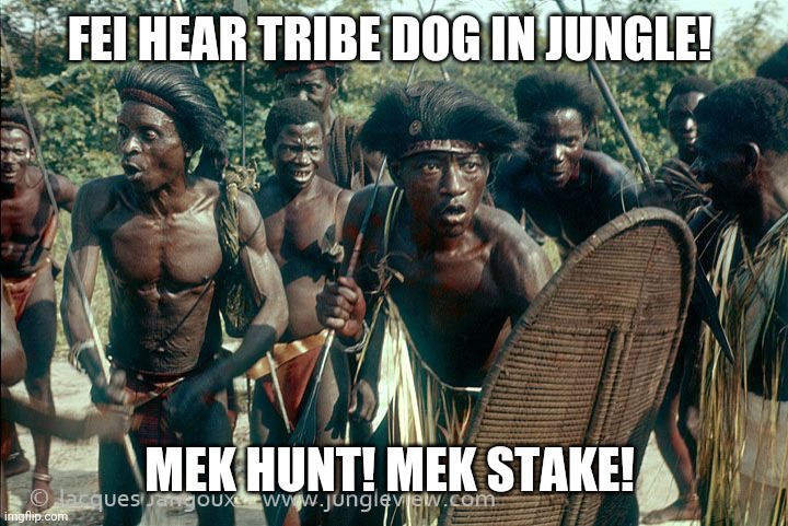 Tribe Dog | FEI HEAR TRIBE DOG IN JUNGLE! MEK HUNT! MEK STAKE! | image tagged in tribe,fei,dog,crypto | made w/ Imgflip meme maker