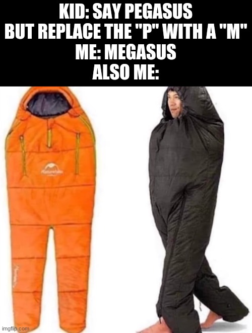KID: SAY PEGASUS BUT REPLACE THE "P" WITH A "M"
ME: MEGASUS
ALSO ME: | made w/ Imgflip meme maker