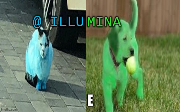 illumina new temp | E | image tagged in illumina new temp | made w/ Imgflip meme maker