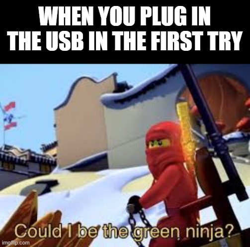 Could I be the Green Ninja? | WHEN YOU PLUG IN THE USB IN THE FIRST TRY | image tagged in could i be the green ninja,usb,memes,relatable | made w/ Imgflip meme maker