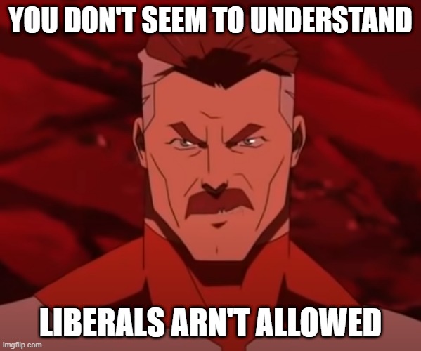 Triggered... | YOU DON'T SEEM TO UNDERSTAND; LIBERALS ARN'T ALLOWED | image tagged in you don't seem to understand | made w/ Imgflip meme maker