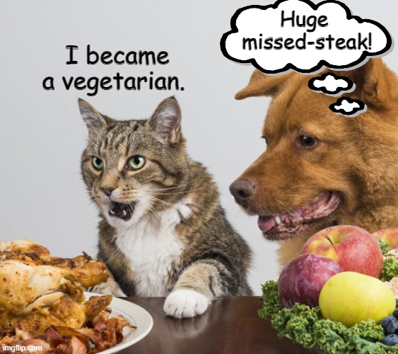 Vegetarian cat | Huge 
missed-steak! I became a vegetarian. | image tagged in cat | made w/ Imgflip meme maker
