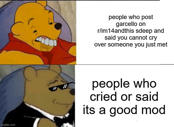 a meme. | people who post garcello on r/im14andthis sdeep and said you cannot cry over someone you just met; people who cried or said its a good mod | image tagged in memes,tuxedo winnie the pooh,funny,reddit,fnf | made w/ Imgflip meme maker