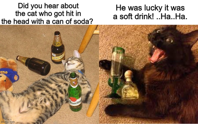 Drunken cats | Did you hear about the cat who got hit in the head with a can of soda? He was lucky it was a soft drink! ..Ha..Ha. | image tagged in drunk | made w/ Imgflip meme maker