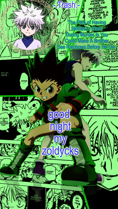 Gon And Killua Temp :D | good
 night
 my
 zoldycks | image tagged in gon and killua temp d | made w/ Imgflip meme maker