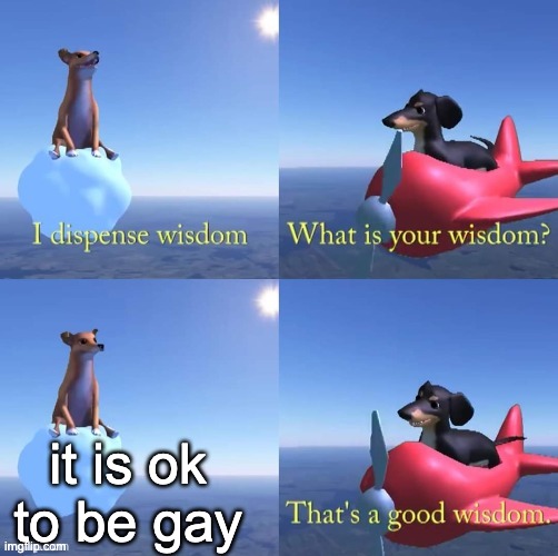 may any gender be okay | it is ok to be gay | image tagged in wisdom dog | made w/ Imgflip meme maker