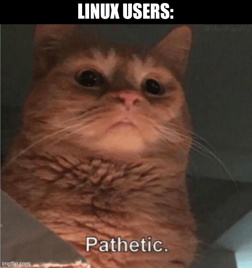 Pathetic Cat | LINUX USERS: | image tagged in pathetic cat | made w/ Imgflip meme maker