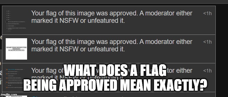 like please I still don't understand | WHAT DOES A FLAG BEING APPROVED MEAN EXACTLY? | image tagged in question,flag | made w/ Imgflip meme maker