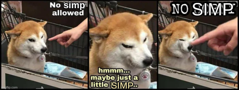 image tagged in no simp | made w/ Imgflip meme maker