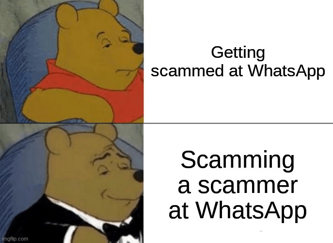 Tuxedo Winnie The Pooh Meme | Getting scammed at WhatsApp; Scamming a scammer at WhatsApp | image tagged in memes,tuxedo winnie the pooh | made w/ Imgflip meme maker