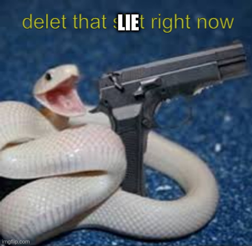 delet that shit right now | LIE | image tagged in delet that shit right now | made w/ Imgflip meme maker