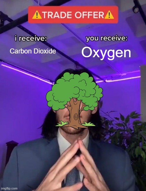 I receive CO2, you receive Oxygen | Carbon Dioxide; Oxygen | image tagged in trade offer | made w/ Imgflip meme maker
