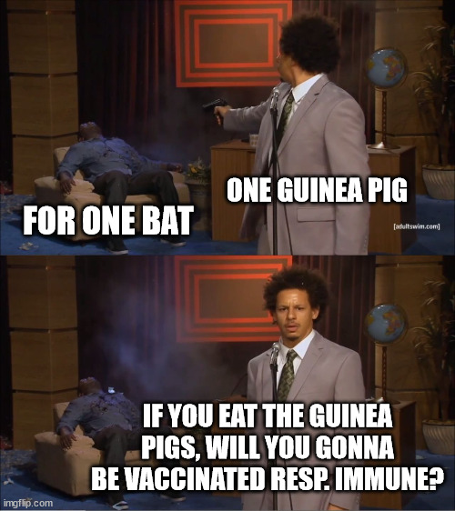 Who Killed Hannibal Meme | ONE GUINEA PIG FOR ONE BAT IF YOU EAT THE GUINEA PIGS, WILL YOU GONNA BE VACCINATED RESP. IMMUNE? | image tagged in memes,who killed hannibal | made w/ Imgflip meme maker