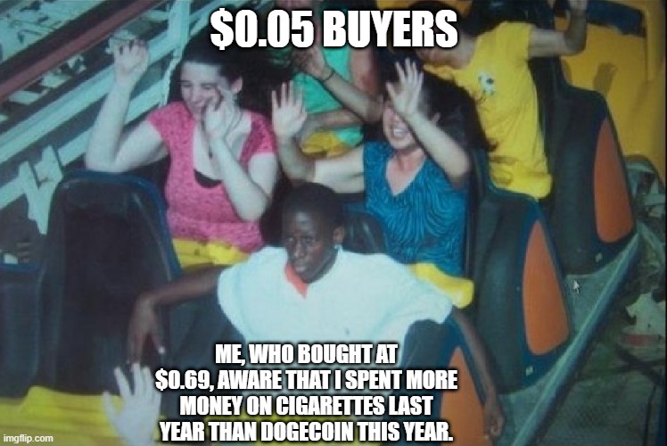 Roller Doger | $0.05 BUYERS; ME, WHO BOUGHT AT $0.69, AWARE THAT I SPENT MORE MONEY ON CIGARETTES LAST YEAR THAN DOGECOIN THIS YEAR. | image tagged in doge,dogecoin,rollercoaster | made w/ Imgflip meme maker