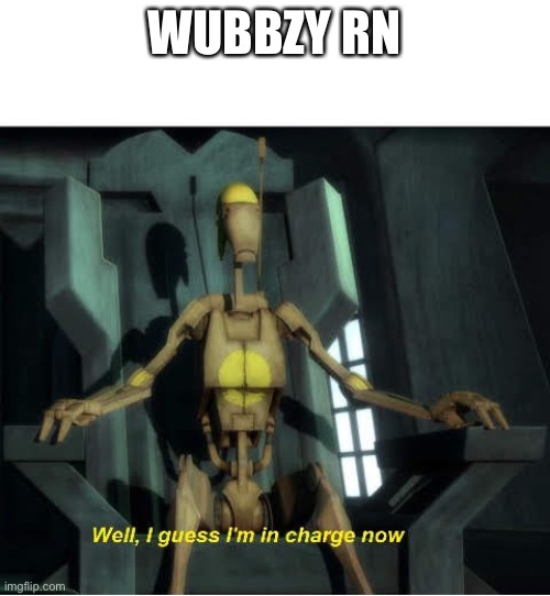 YES! NO MORE TRUMP LEGION OR THE OTHERS | WUBBZY RN | image tagged in guess i'm in charge now | made w/ Imgflip meme maker