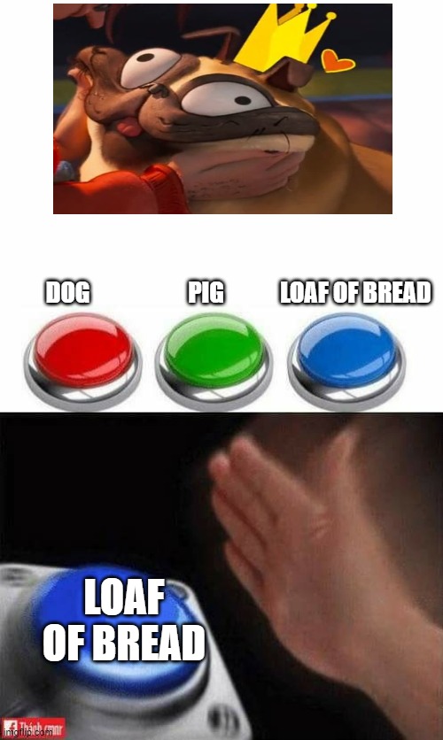 m o n c h i | DOG                     PIG            LOAF OF BREAD; LOAF OF BREAD | image tagged in three buttons | made w/ Imgflip meme maker