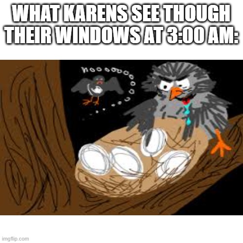 stupid owl | WHAT KARENS SEE THOUGH THEIR WINDOWS AT 3:00 AM: | image tagged in the owl house | made w/ Imgflip meme maker