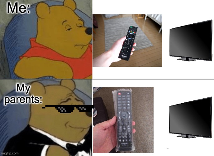 Plastic Wrapper On Remotes | Me:; My parents: | image tagged in memes,tuxedo winnie the pooh | made w/ Imgflip meme maker