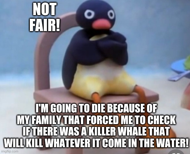 Angry pingu | NOT FAIR! I'M GOING TO DIE BECAUSE OF MY FAMILY THAT FORCED ME TO CHECK IF THERE WAS A KILLER WHALE THAT WILL KILL WHATEVER IT COME IN THE W | image tagged in angry pingu | made w/ Imgflip meme maker