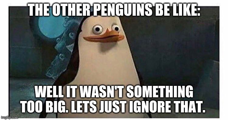Stupid pinguin | THE OTHER PENGUINS BE LIKE: WELL IT WASN'T SOMETHING TOO BIG. LETS JUST IGNORE THAT. | image tagged in stupid pinguin | made w/ Imgflip meme maker