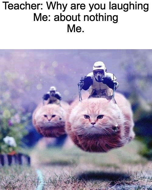 Storm Trooper Cats | Teacher: Why are you laughing
Me: about nothing
Me. | image tagged in storm trooper cats | made w/ Imgflip meme maker