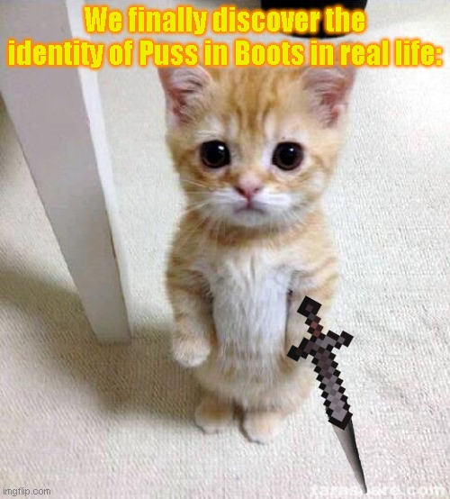 Puss in Boots in real life: | We finally discover the identity of Puss in Boots in real life: | image tagged in memes,cute cat,puss in boots,real life,sword | made w/ Imgflip meme maker