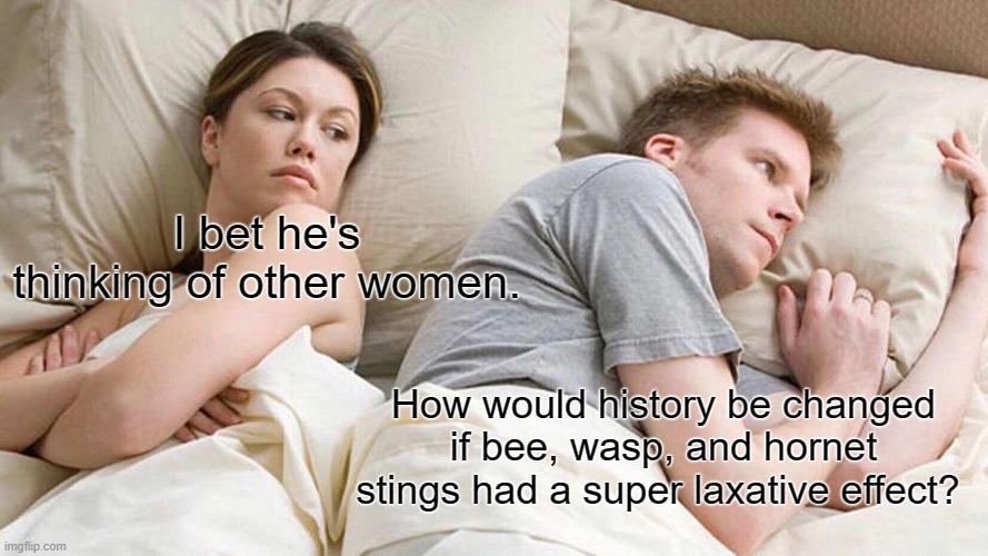 Stinger Stool Softeners | I bet he's thinking of other women. How would history be changed if bee, wasp, and hornet stings had a super laxative effect? | image tagged in memes,i bet he's thinking about other women,murder hornets,laxative,bees,wasp | made w/ Imgflip meme maker