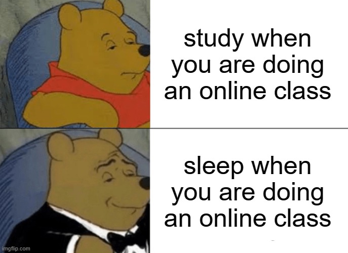 Tuxedo Winnie The Pooh Meme | study when you are doing an online class; sleep when you are doing an online class | image tagged in memes,tuxedo winnie the pooh | made w/ Imgflip meme maker
