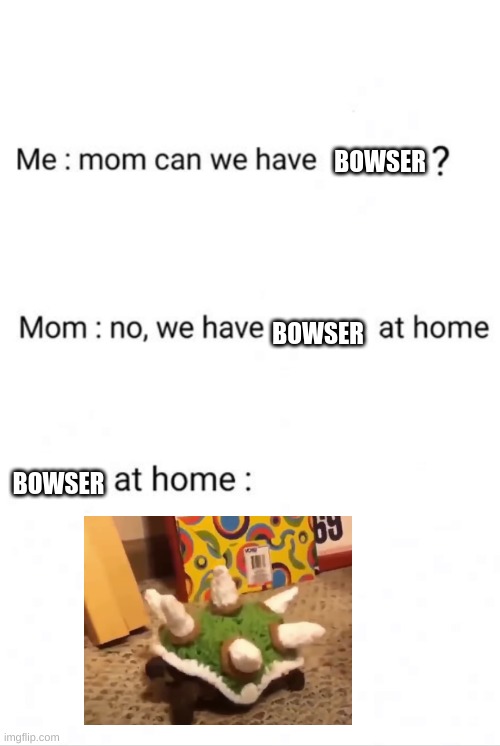 Bowser | BOWSER; BOWSER; BOWSER | image tagged in mario,bowser,mom,sarcasm | made w/ Imgflip meme maker