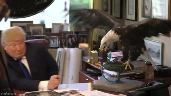 Trump Eagle | image tagged in trump eagle | made w/ Imgflip meme maker