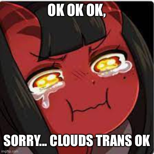 ;-; | OK OK OK, SORRY... CLOUDS TRANS OK | image tagged in meru crying | made w/ Imgflip meme maker