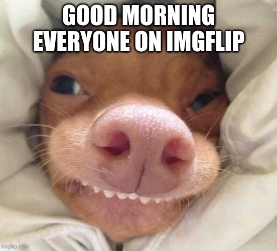 good morning | GOOD MORNING EVERYONE ON IMGFLIP | image tagged in good morning | made w/ Imgflip meme maker