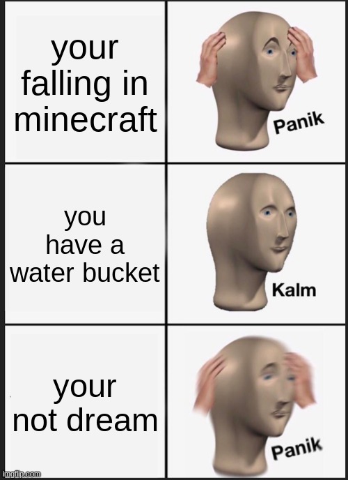 DREAAAAAAAAAAM | your falling in minecraft; you have a water bucket; your not dream | image tagged in memes,panik kalm panik,minecraft | made w/ Imgflip meme maker