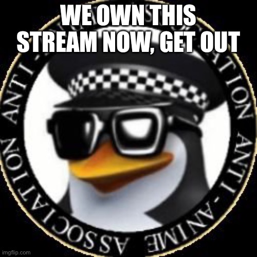 Anti anime | WE OWN THIS STREAM NOW, GET OUT | image tagged in anti anime | made w/ Imgflip meme maker