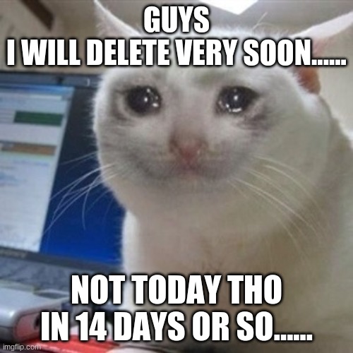 Crying cat | GUYS
I WILL DELETE VERY SOON...... NOT TODAY THO
IN 14 DAYS OR SO...... | image tagged in crying cat | made w/ Imgflip meme maker